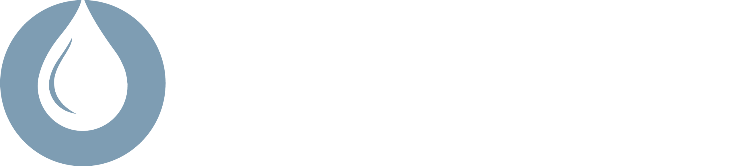 Lekkasjesøk